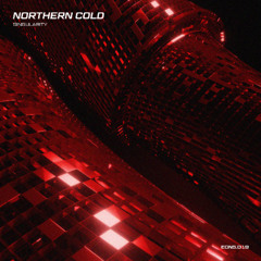Premiere: Northern Cold - Singularity [EONS.019]