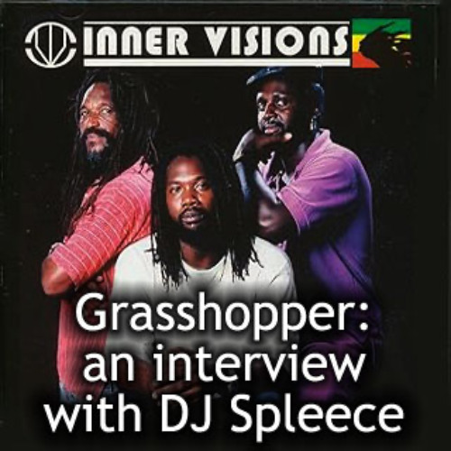 2010 06-29 Grasshopper Interview -Inner Visions-