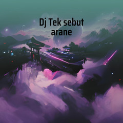 Dj Tek Sebut Arane