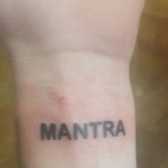 2019 Bender (splurcetti)