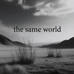 The same world (demo)