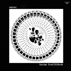 exclusive | Enzo Leep - Forest 2.0 | Miniclic