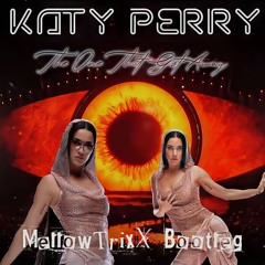 Katy Perry - The One That Got Away (MellowTrixX Bootleg)