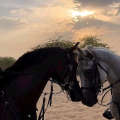 أول طه - تراويح 1446.mp3