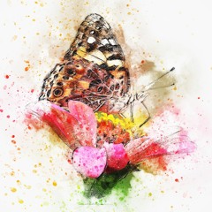 BUTTERFLY(prod. Fantom)