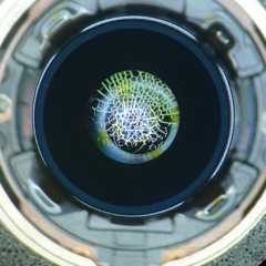 Andre D.&Paul - Pentagramma (Remix By André D.)