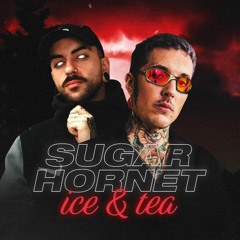 Sugar Hornet Ice & Tea (BMTH Baile Remix)