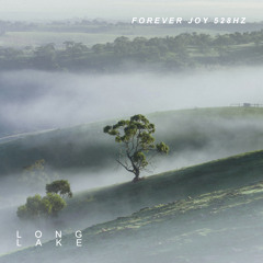 Forever Joy 528hz