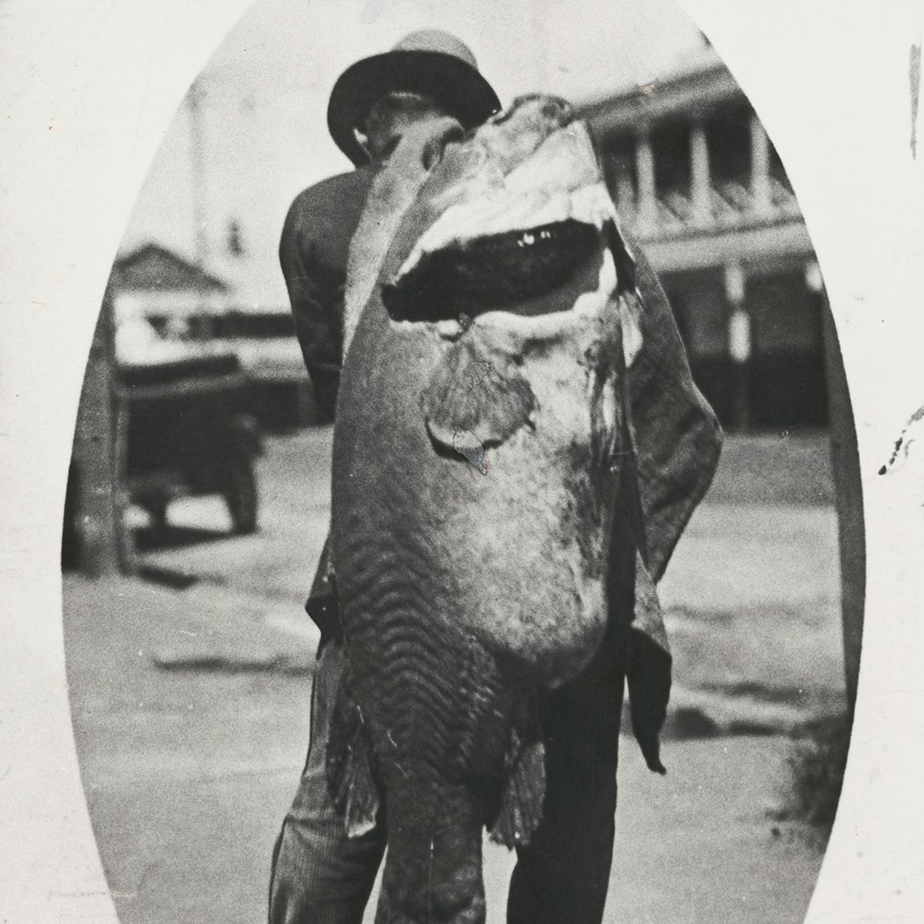 cover of episode The Catch in conversation with Anna Clark.