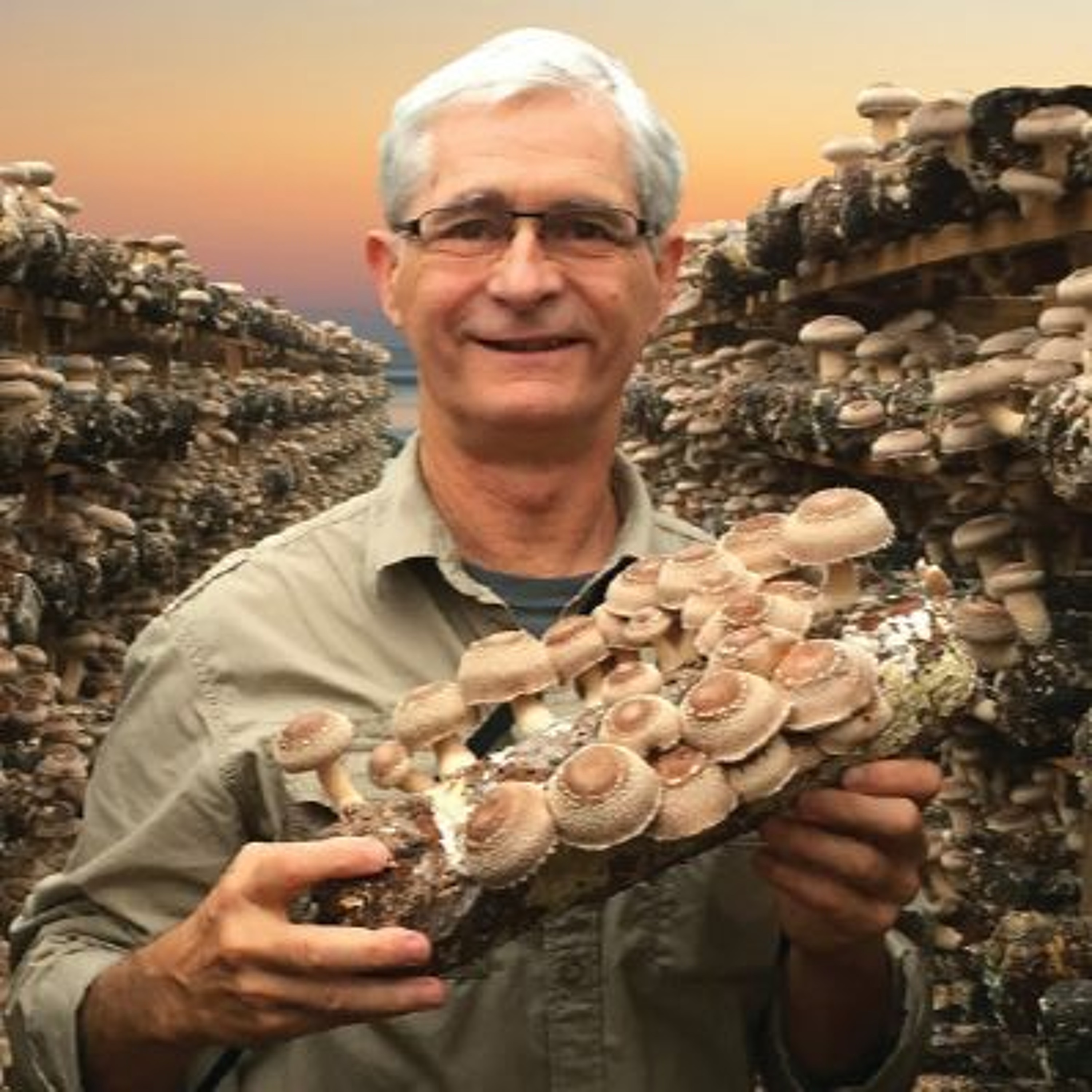 Health Benefits Of Nutritional And Supplemental Mushrooms With Jeff Chilton