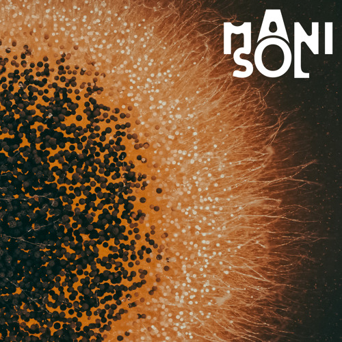 Sol