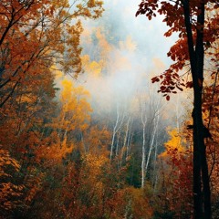 relaxation 2 instr.mp3