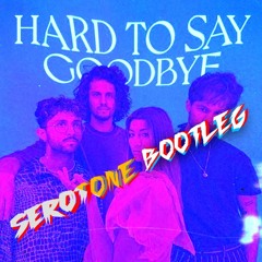 Hard To Say Goodbye (Serotone Bootleg)