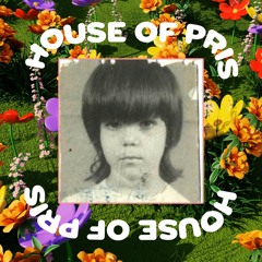 [ITB044] In The Box : House Of Pris
