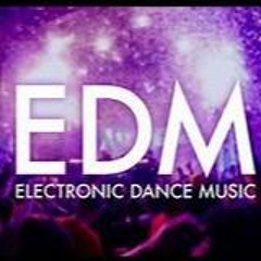 Electro House Mix Part 2