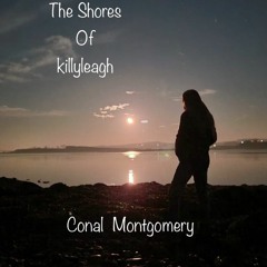 The Shores Of Killyleagh