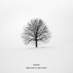 Breathe In The Snow