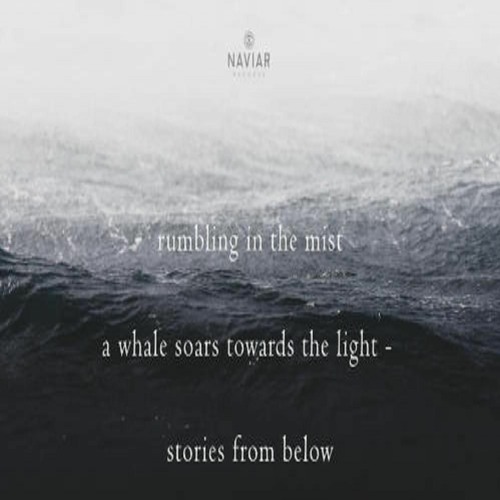 OneAmbient4 - A Whale Soars Towards The Light - Rumbling (Naviarhaiku 326)