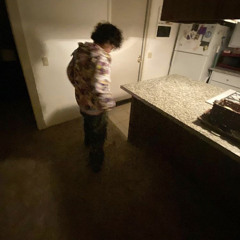 ENDRI - calligraphy (endri + junz + paryo)