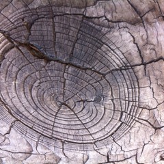 Nagging Time News Hour