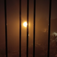 01 REC-2025-09-05
