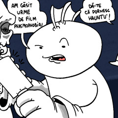 #403 Des Tiny Niciodata Huge