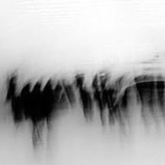 tell me to stay (prod. shvrs)