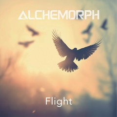 Flight