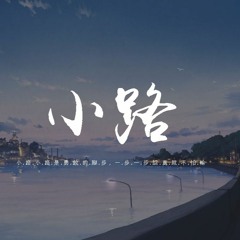 李小璐 - 小路「小路小路是勇敢的脚步，一步一步认真就不怕输」【動態歌詞/pīn yīn gē cí】