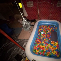 your call has been disconnected