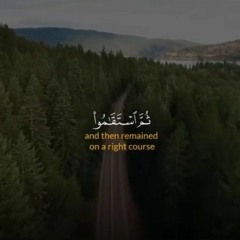 ان الذين امنوا ثم استقاموا تتنزل عليهم الملائكة..ايات مؤثرة من سورة فصلت للقارئ اسلام صبحى..🌹