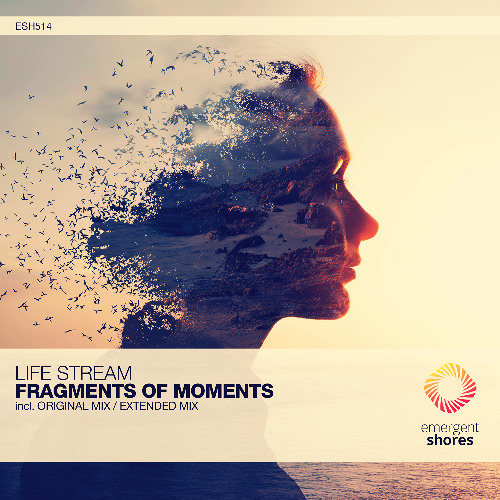 Life Stream - Fragments of Moments (Original Mix) [ESH514]