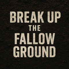 Men: Break Up Your Fallow Ground