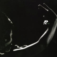 All Along I've Loved You