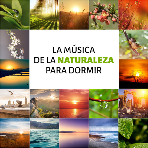 Stream Zona Música Relaxante | Listen to La Música de la Naturaleza para Dormir: Música Relejante para Meditar, Positivo y Música Instrumental como Remedios para la Ansiedad, Música de Relajacion y