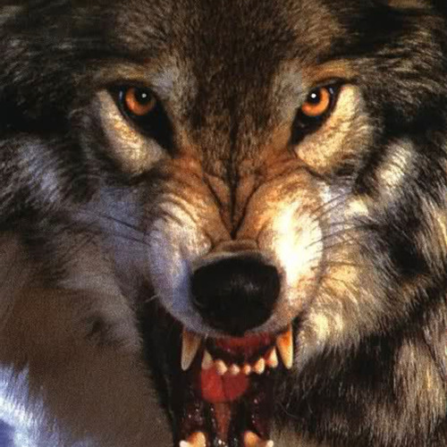 JJ x TyDaeDae - KB (unmastered)