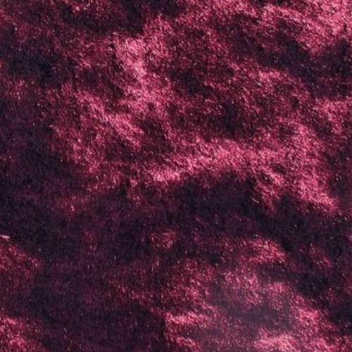 Pablo Wesler - Some Kind Of Non-Existent Animal Talking [LP]