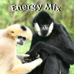 Energy Mix:  Badass Progresiva