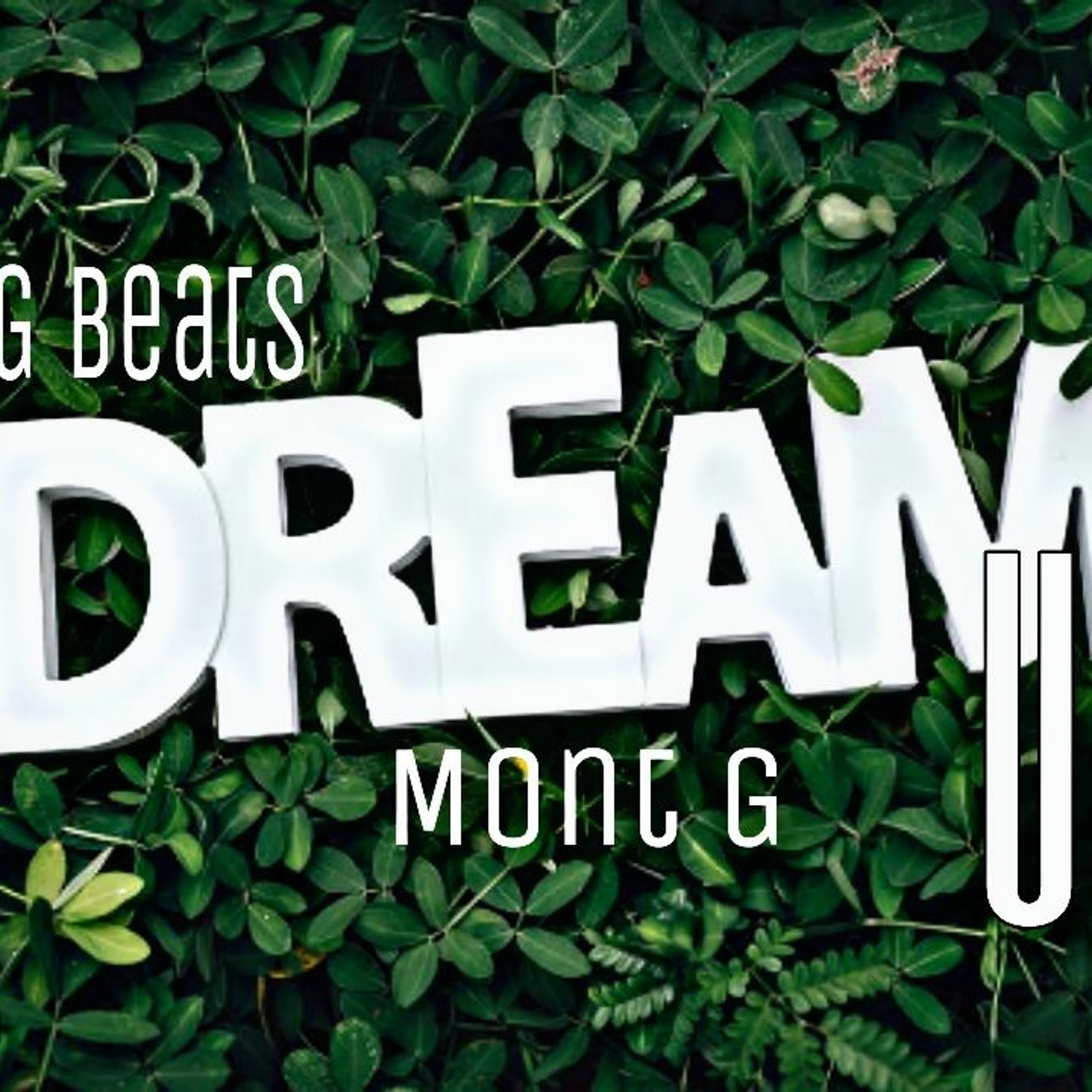 Tiny G Beats x Mont G - Dream Us episode artwork