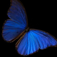 зымыран slowed 2