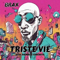 Triste Vie - BRAX (prod. DAMAGE CIRCUITS)