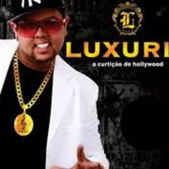 Luxúria 2013 • A Curtição de Hollywood • 13 Risca