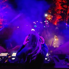 Wicked Woods Music Festival 2024