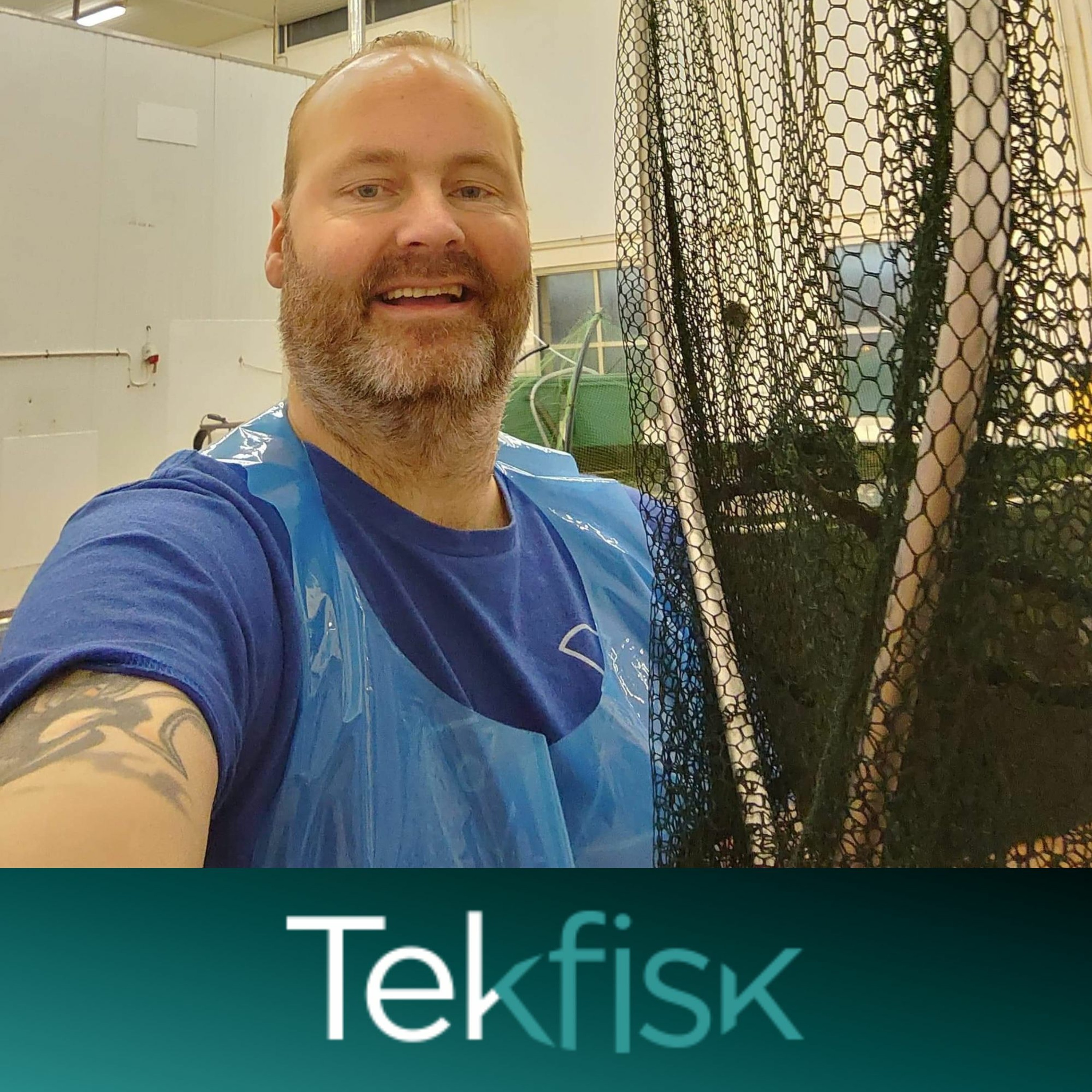 Tekfisk