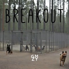 Breakout