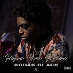 Hot Freestyle on X: Kodak Black has released a new single called