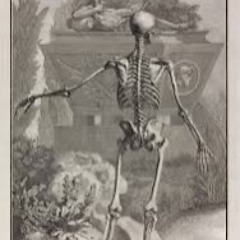 BTF TERROR - Love Me, Love Me Not