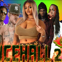 DANCEHALL MIX 2020 INCREDIBLE 2020 VYBZ KARTEL,ALKALINE,MAVADO,TEEJAY,CHRONIC LAW,MASICKA,POPCAAN