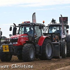 Groot in iets klein Pommelien Thijs x Bart Peeters