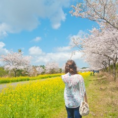 Spring [lofi type beat]